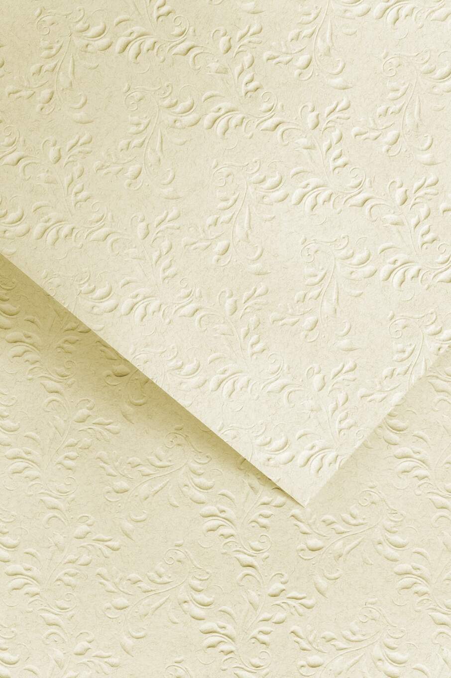 Karton ozdobny Argo Nature jasnobeżowy z tłoczeniem A4 220g opakowanie 20 arkuszy